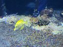 2024-10-02 15-52-30 Nausicaa FGn