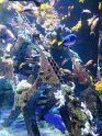 2024-10-02 15-56-21 Nausicaa FGn