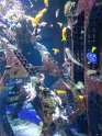 2024-10-02 15-56-26 Nausicaa FGn