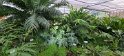 2023-10-08 11-44-22 Le Havre-Jardins suspendus FGn