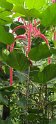 2023-10-08 11-50-31 Le Havre-Jardins suspendus FGn