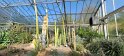 2023-10-08 11-53-54 Le Havre-Jardins suspendus FGn