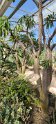2023-10-08 11-55-29 Le Havre-Jardins suspendus FGn