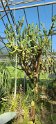 2023-10-08 11-55-37 Le Havre-Jardins suspendus FGn