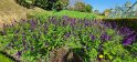 2023-10-08 11-57-04 Le Havre-Jardins suspendus FGn