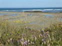 02- Oleron MBo