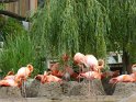 02- Zoo de la Palmyre MBo