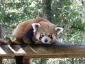 15- Zoo de la Palmyre MBo