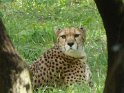 18- Zoo de la Palmyre MBo