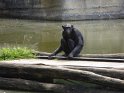 20- Zoo de la Palmyre MBo