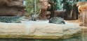 21- Zoo de la Palmyre FGn