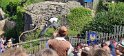 2022-06-26 10-37-05 Le vol des oiseaux