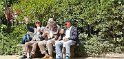 2022-06-26 12-59-41 Puy du Fou CGn